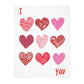 I LOVE YOU Velveteen Minky Blanket (Two-sided print)